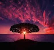 This is a special Elite Private Forum for Key-Investors from Europe and GCC.
The main objectives of this forum are:
— to create positive personal connections between V.I.P. investors;
— to attract investments to the most promising projects.